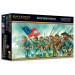 Black Powder: American Civil War - Infantry Regiment Advancing