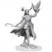 D&D Frameworks: W1 Female Human Druid