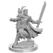 D&D Frameworks: W2 Male Half-Elf Ranger