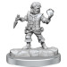 D&D Frameworks: W2 Male Halfling Rogue
