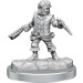 D&D Frameworks: W2 Male Halfling Rogue