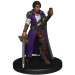 D&D Trials of Tempus: Premium Edition
