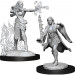D&D Nolzur's Marvelous Minis: W13 Female Multiclass Warlock + Sorcerer