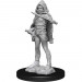 D&D Nolzur's Unpainted Minis: W13 Darkling Elder & Darklings