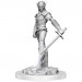 D&D Nolzur's Marvelous Unpainted Minis: W18 Drow Fighters