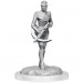 D&D Nolzur's Marvelous Unpainted Minis: W18 Drow Fighters