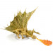 D&D Premium Painted Figure: Adult Gold Dragon