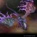D&D Dragonlance: Lord Soth & Greater Death Dragon