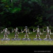 D&D Icons of the Realms: Tomb of Annihilation Complete Set