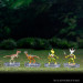 D&D Icons of the Realms: Tomb of Annihilation Complete Set