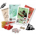 Paleo: A New Beginning Expansion