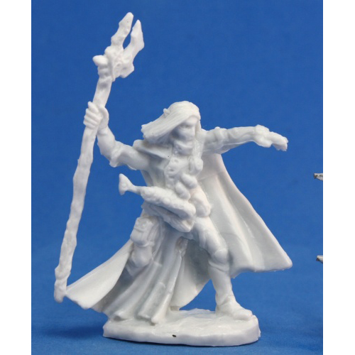 Dark Heaven Bones: Elquin, High Elf Adventurer