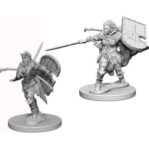 Female Human Paladin miniature 28mm metal painted for Pathfinder ...