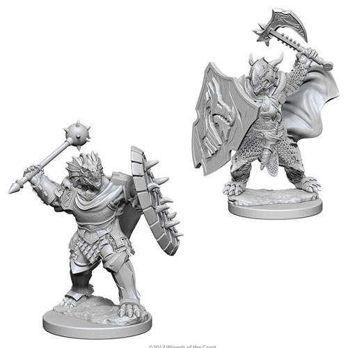 Dungeons & Dragons Nolzur`s Unpainted Miniatures W12 Male Human Paladin 