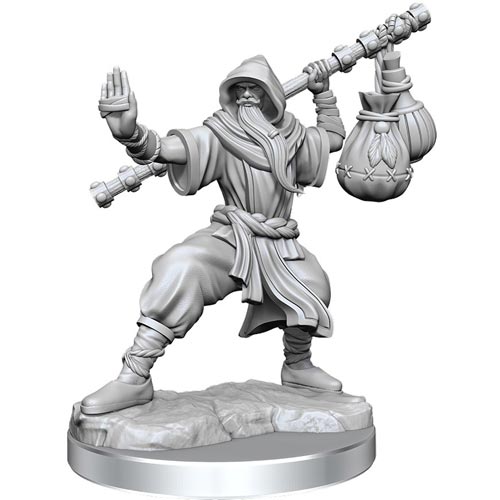 D&D Frameworks: W1 Female Human Fighter (Miniatures Madness Sale)