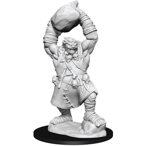 Tempus Fugit Shop  WIZ73839 - D&D Miniature - Half Elf Monk