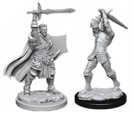 D&D Frameworks: Human Fighter Female - Unpainted and Unassembled