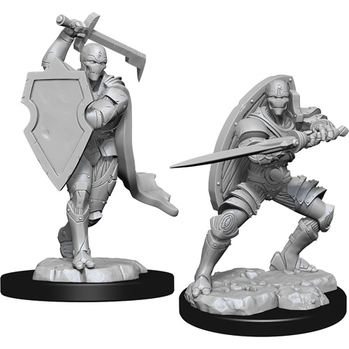 D&D Nolzur's Marvelous Minis: W13 Male Multiclass Fighter + Wizard, Table  Top Miniatures