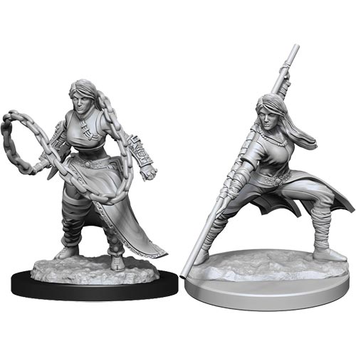 Female Fighter Miniature for Dungeons and Dragons 5e Rpg 
