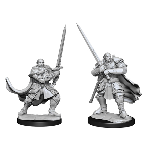 Tempus Fugit Shop  WIZ90143 - D&D Miniature - Elf Ranger 2 Female - Wizkids