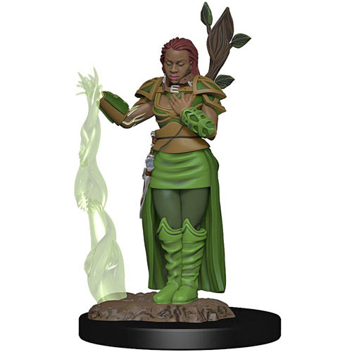D&D Premium Painted Figure: W2 Female Human Druid, Table Top Miniatures